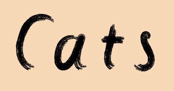 Cats | Café-Bar | Sheffield in Sheffield